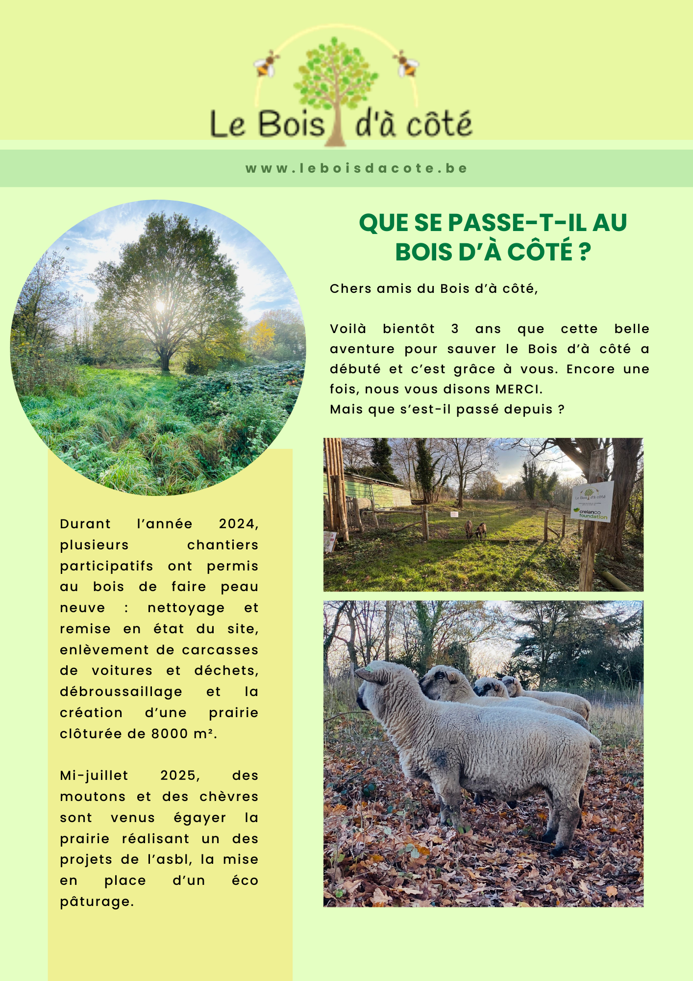 Quoi de neuf au Bois d'à Côté 1